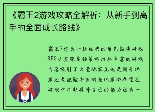 《霸王2游戏攻略全解析：从新手到高手的全面成长路线》